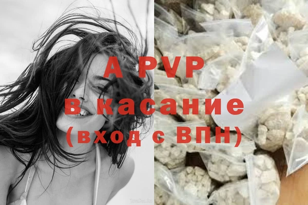 гашик Абинск