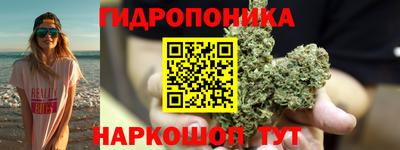 трава Лесосибирск