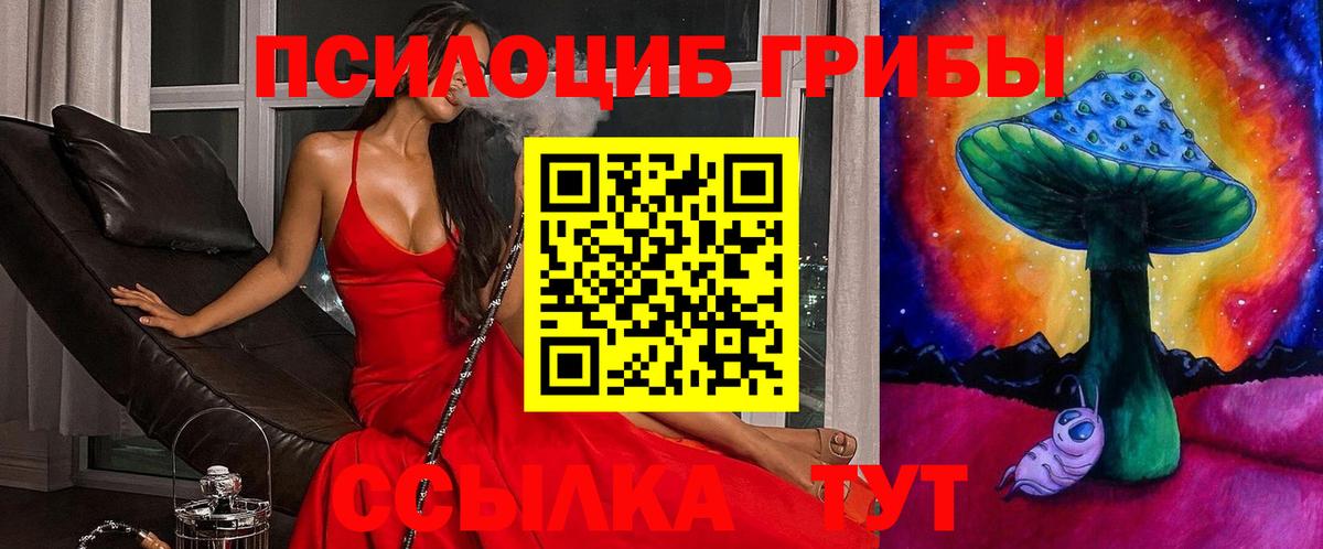 где продают   Галлюциногенные грибы MAGIC MUSHROOMS  Вход с VPN  Энгельс  Псилоцибиновые грибы Cubensis 