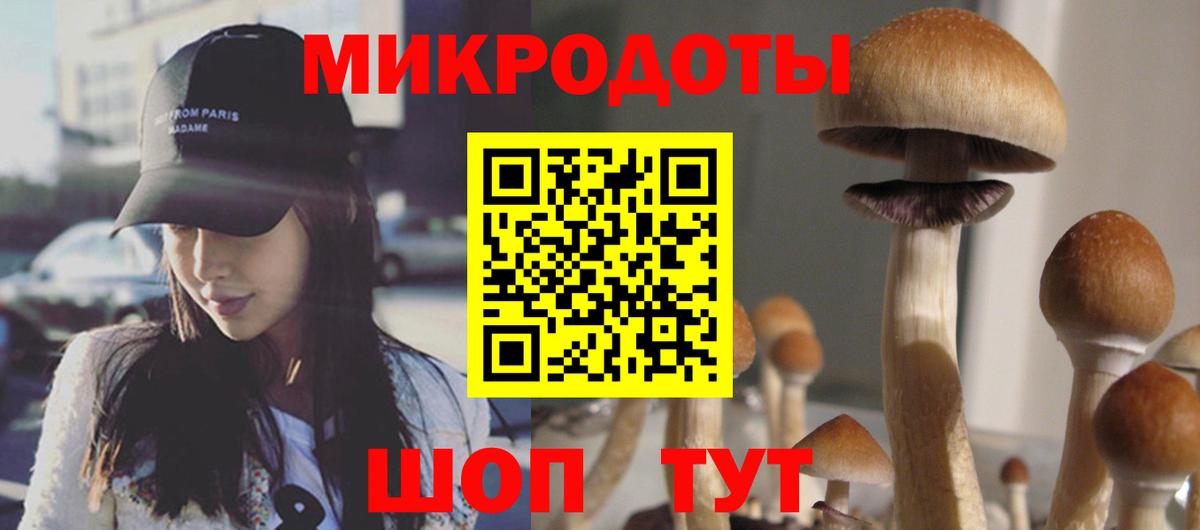 Псилоцибиновые грибы прущие грибы Энгельс